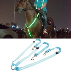 Attrezzatura equestrica all'aperto cinturino a led a led, specifica: blu