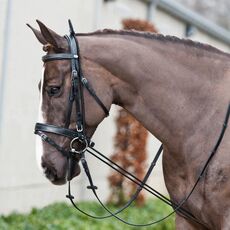 3m Laterale di cavallo Reinsina Elastico Elastico Corda di allenamento equestrian
