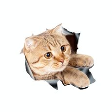 Stile 3 Large 3D Stereo Cat Auto Sticker Car Body Graffio e adesivi per occlusione