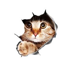 Stile 4 Grande Stereo 3D Cat Auto Sticker Car Body Body Graffio e adesivi per occlusione