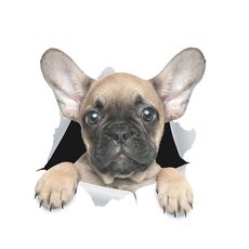 4 pezzi Personalità Cucciolo 3D Adesivi per auto 3D Impermeabile Body Body Block Graffio Simulazione Adesivi (Pugs)
