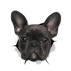 4 pezzi Personalità Cucciolo 3D Adesivi per auto per auto impermeabile Body Body Block Graffi Simulazione Adesivi (cane nero)
