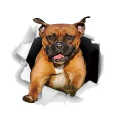 4 pezzi Personalità Cucciolo 3D Adesivi per auto 3d impermeabile Body Body Block Graffi Simulazione Adesivi (Dog giallo)