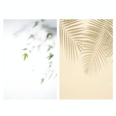 2 PCS 3D stereo fotografia bifacciale fotografica di fotographia (luce ombra magica 1)