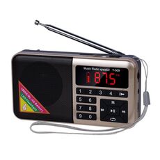 Bluetooth Card Radio Digital FM Player, Specifiche: Y-509FM (nessun pannello solare) (oro)