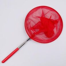 10 pezzi bambini telescopici in acciaio inossidabile che catturano pesci e insetti netti (consegna casuale a colori)
