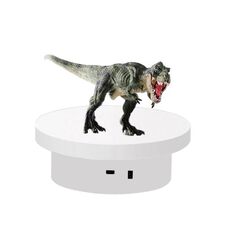 Fotografia Electric Turntable Automatic Ruota Ruota, stile: Plug -in 30 cm