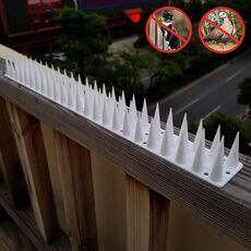 12 PCS Repellente per uccelli in plastica Fence Fence Anti-Climb Nails (Bianco)