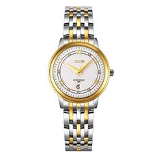 Skmei 9272 Cinta in acciaio inossidabile cinghia Waterproof Quart Watch Women (oro e argento)