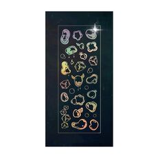 10 PCS Stampaggio a caldo Laser Cartoon Animal Sticker Decorazione Mano Conto Materiale (bolla)