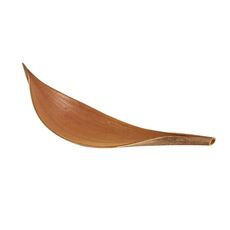 35-39 cm Foglie di cacao Puntelli da tiro per piante naturali Ornamenti di fiori secchi