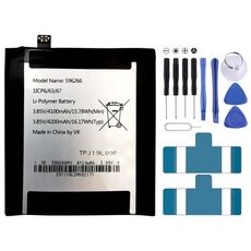 596266 Sostituzione della batteria