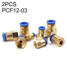 PCF12-03 LAIZE Connettore rapido pneumatico dritto con filettatura femmina da 10 pezzi
