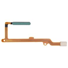 Cavo flessibile per sensore di impronte digitali originale per Honor X40i (verde)