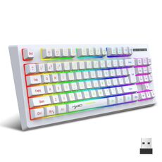 HXSJ L100 Tastiera wireless 2.4G con pellicola retroilluminata RGB a 87 tasti (bianca)