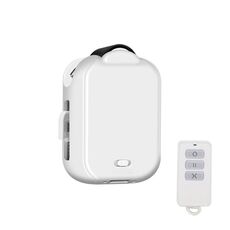 Macchina per tende automatica X101 Smart Home con RC, stile: Track Model Single Host