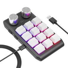 Tastiera di programmazione personalizzata USB cablata 12KV2 MOLD Mini meccanica 12 tasti 2 manopole (bianca)