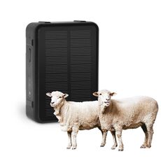 V44 Localizzatore GPS impermeabile per bovini e ovini a energia solare