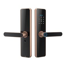 C91 Tuya Smart WiFi Password Impronta digitale Serratura elettronica (Bronzo)