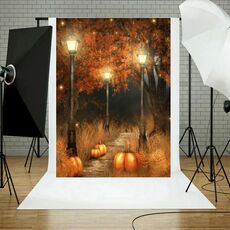 1,25x0,8 m Sfondo fotografico per feste di festa Panno per appendere decorazioni di Halloween, stile: WS-166