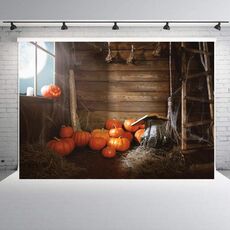 1,25x0,8 m Sfondo fotografico per feste di festa Panno per appendere decorazioni di Halloween, stile: WS-144