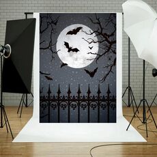 1,25x0,8 m Sfondo fotografico per feste di festa Panno per appendere decorazioni di Halloween, stile: WS-181