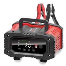 Caricabatteria intelligente per auto moto portatile FOXSUR 12V / 24V 20A 300W (spina AU)