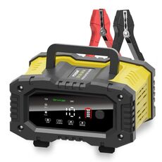 Caricabatteria intelligente per auto moto portatile FOXSUR 12V / 24V 10A (spina AU)