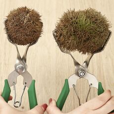 Apriscatole per castagne con clip per castagne in acciaio inossidabile