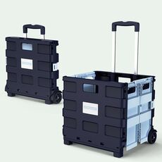 Carrello della spesa portatile pieghevole in plastica Carrello della spesa piccolo Carrello della spesa, Stile: Due ruote Blu scuro (Medio)