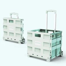 Carrello della spesa portatile pieghevole in plastica Carrello della spesa piccolo Carrello della spesa, Stile: Due ruote Verde (grande)
