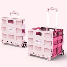 Carrello della spesa portatile pieghevole in plastica Carrello della spesa piccolo Carrello della spesa, Stile: Due ruote Rosa rosa (medio)