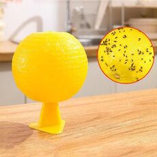 Palline per moscerini della frutta da 8 cm per uso interno Trappola per insetti Palline per insetti appiccicose (gialle con base + colla bifacciale)