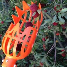 Testa di raccoglitrice di frutta per cesto da giardino grande, artefatto per raccolta di frutta ad alta quota (giallo)