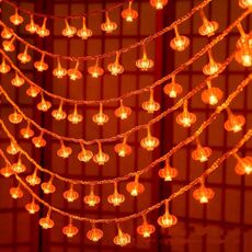 Luci LED lanterna rossa cinese da 3 m e 20 luci per Capodanno (piccola lanterna rossa)