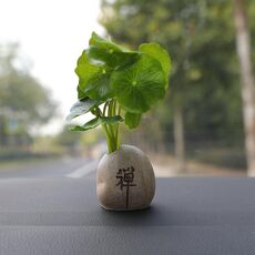 Vasi da fiori simulati per decorazione di ornamenti in vaso per mini auto, stile: vaso Zen