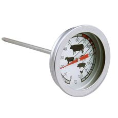 Termometro per barbecue da cucina per uso domestico, sonda per caffè, misuratore di temperatura dell'acqua