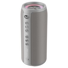 Zealot S51 Pro Altoparlante Bluetooth con bassi scioccanti con luce colorata (grigio)
