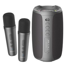 Zealot S61M RGB Rhythmic Light Karaoke Wireless Speaker, Stile: Doppio Microfono (Nero)
