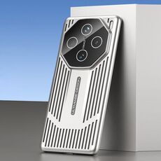 Per vivo X100 Pro Ice Sense Heat Dissipation Custodia per telefono con rivestimento in gelo galvanico (argento)