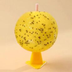 Palla appiccicosa per attirare insetti da interno con nucleo, 8 cm