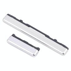 Per Samsung Galaxy Tab S7+ SM-T970/T976 Pulsante di accensione originale e pulsante di controllo del volume (argento)