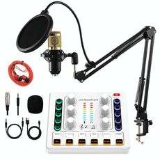 M8 Registrazione e canto Live Bluetooth Scheda audio Set, Colore: Bianco + Oro Auricolare Cantilever