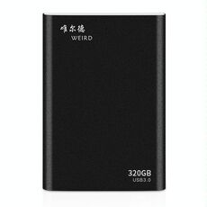 WEIRD 320 GB 2,5 pollici USB 3.0 Trasmissione ad alta velocità Guscio in metallo Disco rigido mobile leggero ultrasottile (nero)