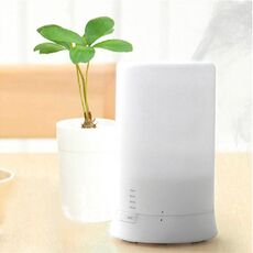 Diffusore di aromi mini USB / umidificatore di aromi con luci LED bianche calde (bianche)