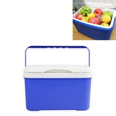 Auto portatile Mini 6L EPS Incubatrice Box