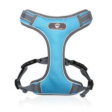 BL-852 PET TRACTION RODE MESH RUGIORINO RUOVABILE CINTURE DI CANE S (BLUE)
