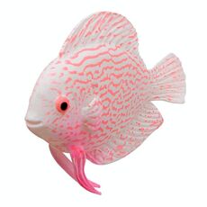 2 PCS Simulazione Luminoso Acquario di Pesci Tropicali Paesaggistica Decorazioni Finte (F01 Pink God Cumilus)