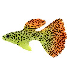 2 PCS Simulazione Luminoso Acquario di Pesci Tropicali Paesaggistica Decorazioni Finte (F03 Peacock)