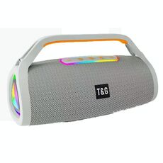 T&G TG417 40W Altoparlante Bluetooth wireless portatile con doppio microfono per esterni (grigio)
